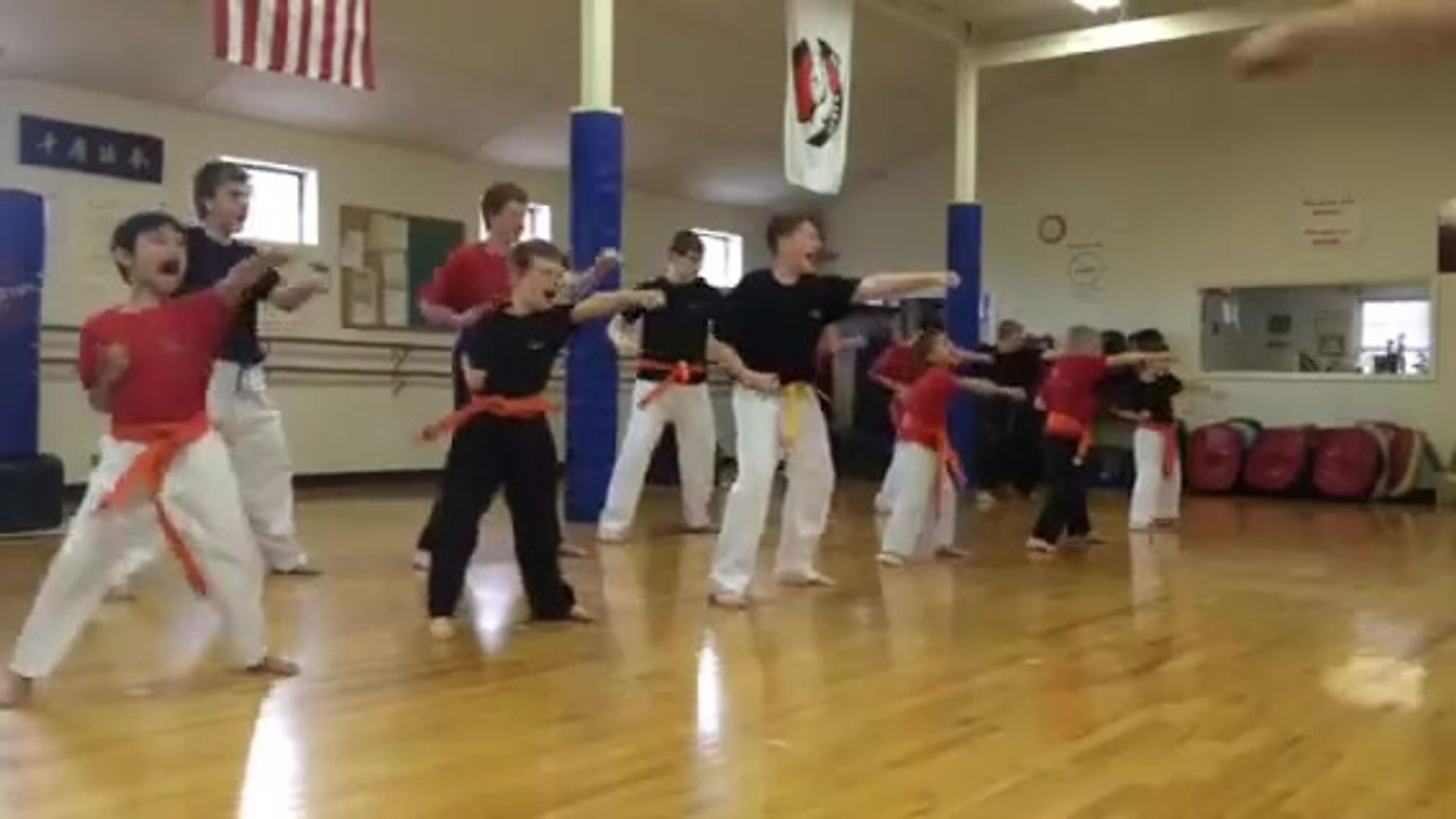 Karate Style